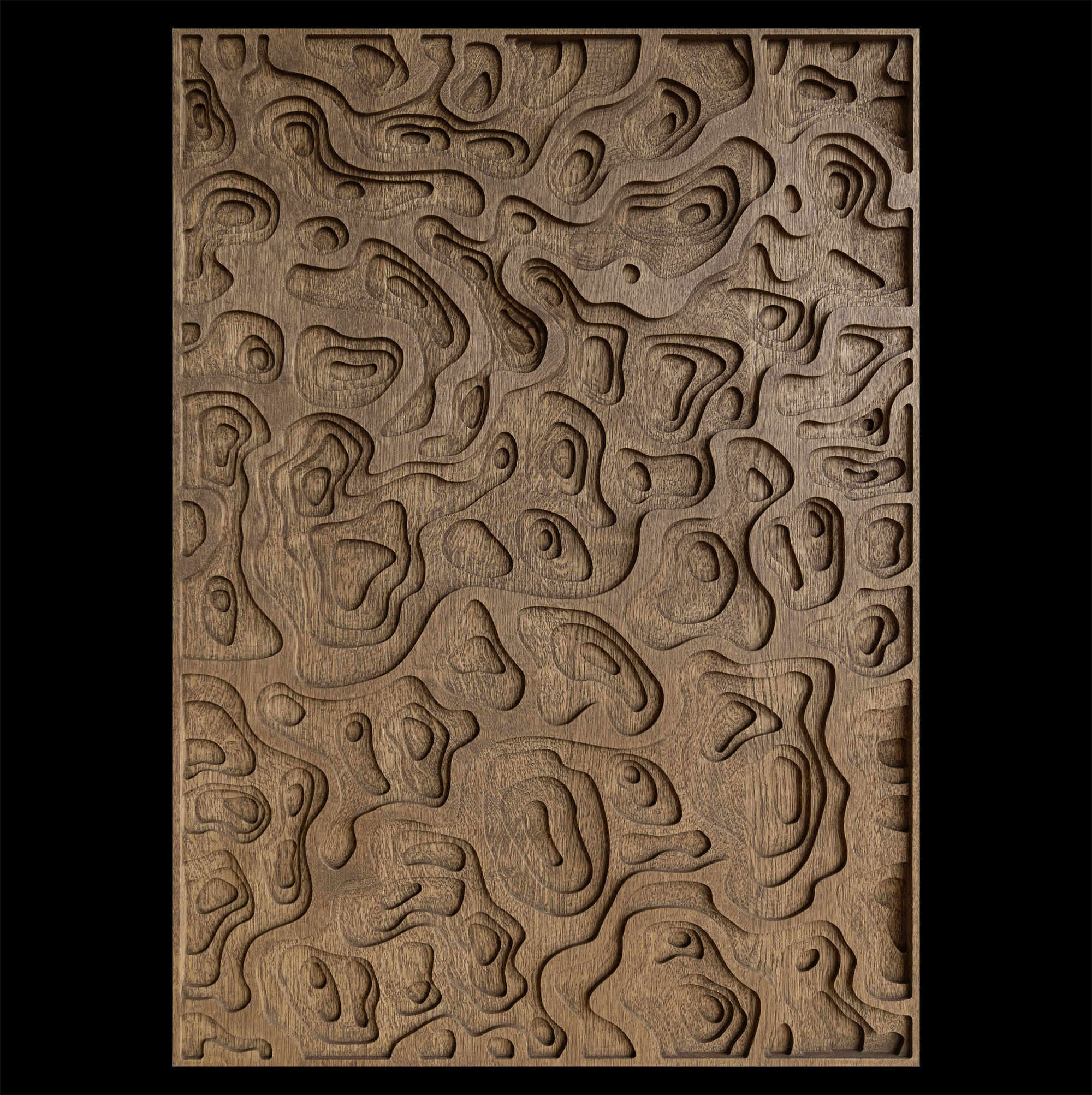 Panel Moon Rock